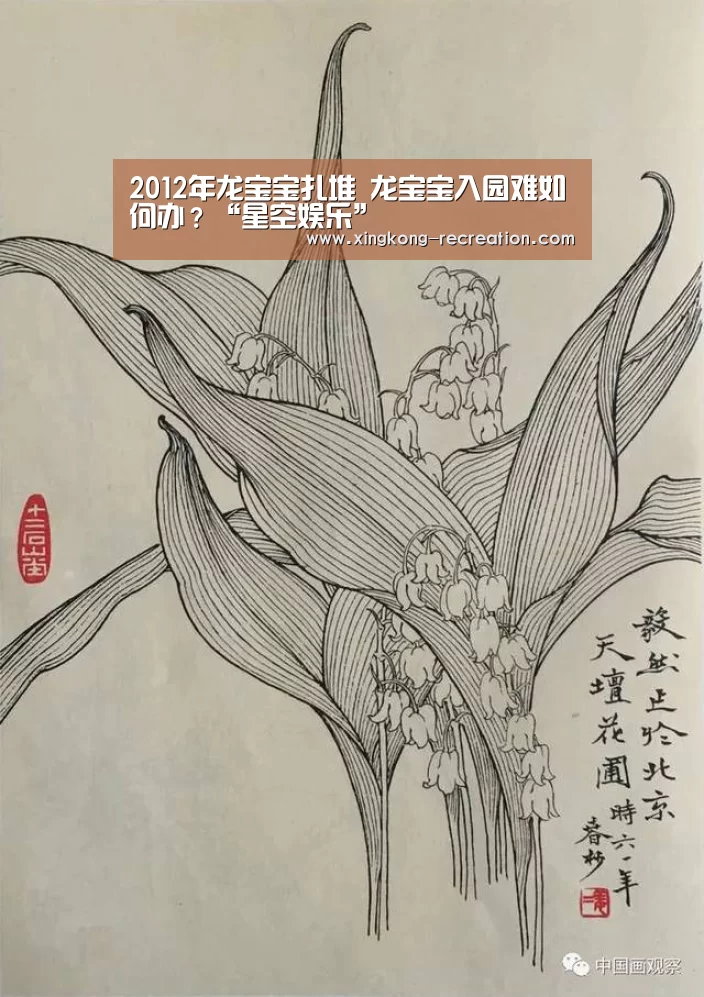 星空娱乐