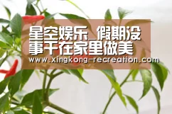 星空娱乐